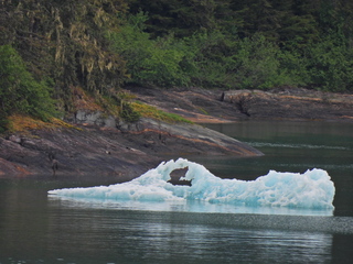 Filename=DSCN1879.JPG
Filesize=6970KiB
Dimensions=4608x3456
Date added=Jun 10, 2023 DSCN1879.JPG