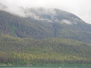 Filename=DSCN1881.JPG
Filesize=7275KiB
Dimensions=4608x3456
Date added=Jun 10, 2023 DSCN1881.JPG