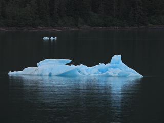 Filename=DSCN1883.JPG
Filesize=7375KiB
Dimensions=4608x3456
Date added=Jun 10, 2023 DSCN1883.JPG