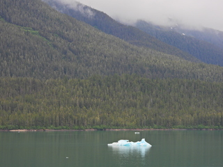 Filename=DSCN1884.JPG
Filesize=7116KiB
Dimensions=4608x3456
Date added=Jun 10, 2023 DSCN1884.JPG