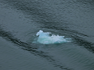 Filename=DSCN1890.JPG
Filesize=7201KiB
Dimensions=4608x3456
Date added=Jun 10, 2023 DSCN1890.JPG