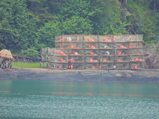 Filename=DSCN1892.JPG
Filesize=7169KiB
Dimensions=4608x3456
Date added=Jun 10, 2023 DSCN1892.JPG