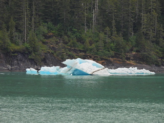 Filename=DSCN1900.JPG
Filesize=6994KiB
Dimensions=4608x3456
Date added=Jun 10, 2023 DSCN1900.JPG