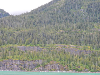 Filename=DSCN1966.JPG
Filesize=7457KiB
Dimensions=4608x3456
Date added=Jun 10, 2023 DSCN1966.JPG