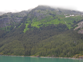 Filename=DSCN1982.JPG
Filesize=7192KiB
Dimensions=4608x3456
Date added=Jun 10, 2023 DSCN1982.JPG