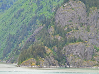 Filename=DSCN2018.JPG
Filesize=6987KiB
Dimensions=4608x3456
Date added=Jun 10, 2023 DSCN2018.JPG