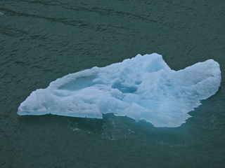 Filename=DSCN2023.JPG
Filesize=6952KiB
Dimensions=4608x3456
Date added=Jun 10, 2023 DSCN2023.JPG