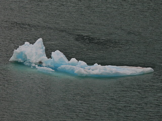 Filename=DSCN2024.JPG
Filesize=7150KiB
Dimensions=4608x3456
Date added=Jun 10, 2023 DSCN2024.JPG