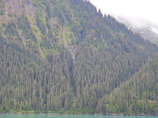 Filename=DSCN2065.JPG
Filesize=7039KiB
Dimensions=4608x3456
Date added=Jun 10, 2023 DSCN2065.JPG