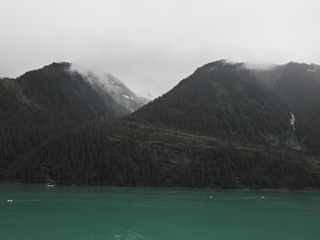 Filename=DSCN2074.JPG
Filesize=7253KiB
Dimensions=4608x3456
Date added=Jun 10, 2023 DSCN2074.JPG