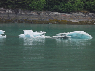 Filename=DSCN2077.JPG
Filesize=7417KiB
Dimensions=4608x3456
Date added=Jun 10, 2023 DSCN2077.JPG