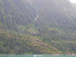 Filename=DSCN2081.JPG
Filesize=7194KiB
Dimensions=4608x3456
Date added=Jun 10, 2023 DSCN2081.JPG