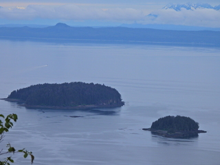 Filename=DSCN2113.JPG
Filesize=7448KiB
Dimensions=4608x3456
Date added=Jun 10, 2023 DSCN2113.JPG