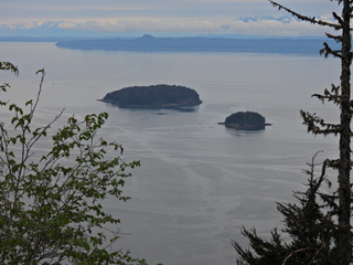 Filename=DSCN2114.JPG
Filesize=6461KiB
Dimensions=4608x3456
Date added=Jun 10, 2023 DSCN2114.JPG