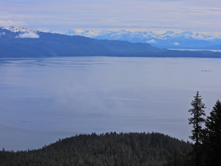 Filename=DSCN2154.JPG
Filesize=6022KiB
Dimensions=4608x3456
Date added=Jun 10, 2023 DSCN2154.JPG