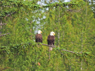 Filename=DSCN2219.JPG
Filesize=7685KiB
Dimensions=4608x3456
Date added=Jun 10, 2023 DSCN2219.JPG