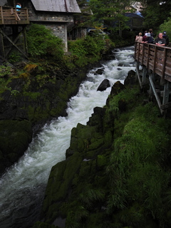 Filename=DSCN2253.JPG
Filesize=6928KiB
Dimensions=3456x4608
Date added=Jun 10, 2023 DSCN2253.JPG