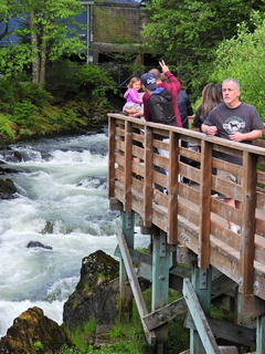 Filename=DSCN2255.JPG
Filesize=6734KiB
Dimensions=3456x4608
Date added=Jun 10, 2023 DSCN2255.JPG