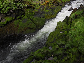 Filename=DSCN2259.JPG
Filesize=6912KiB
Dimensions=4608x3456
Date added=Jun 10, 2023 DSCN2259.JPG