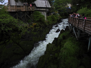 Filename=DSCN2260.JPG
Filesize=7002KiB
Dimensions=4608x3456
Date added=Jun 10, 2023 DSCN2260.JPG