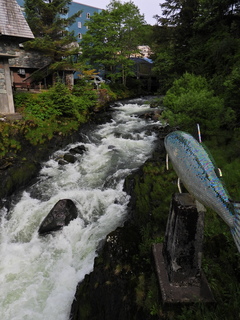 Filename=DSCN2263.JPG
Filesize=6506KiB
Dimensions=3456x4608
Date added=Jun 10, 2023 DSCN2263.JPG