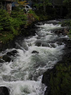 Filename=DSCN2264.JPG
Filesize=6427KiB
Dimensions=3456x4608
Date added=Jun 10, 2023 DSCN2264.JPG