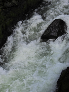 Filename=DSCN2266.JPG
Filesize=6269KiB
Dimensions=3456x4608
Date added=Jun 10, 2023 DSCN2266.JPG