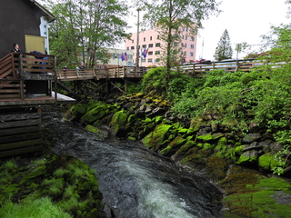 Filename=DSCN2268.JPG
Filesize=7546KiB
Dimensions=4608x3456
Date added=Jun 10, 2023 DSCN2268.JPG