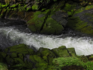 Filename=DSCN2270.JPG
Filesize=7109KiB
Dimensions=4608x3456
Date added=Jun 10, 2023 DSCN2270.JPG