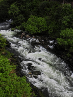 Filename=DSCN2271.JPG
Filesize=6374KiB
Dimensions=3456x4608
Date added=Jun 10, 2023 DSCN2271.JPG