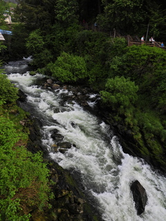 Filename=DSCN2276.JPG
Filesize=6791KiB
Dimensions=3456x4608
Date added=Jun 10, 2023 DSCN2276.JPG