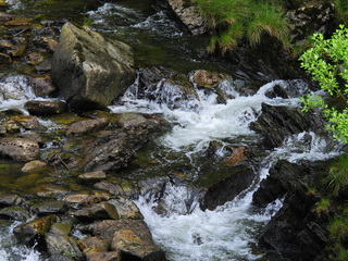 Filename=DSCN2279.JPG
Filesize=7390KiB
Dimensions=4608x3456
Date added=Jun 10, 2023 DSCN2279.JPG