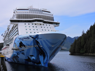 Filename=DSCN2295.JPG
Filesize=7175KiB
Dimensions=4608x3456
Date added=Jun 10, 2023 DSCN2295.JPG