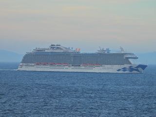 Filename=DSCN2310.JPG
Filesize=6509KiB
Dimensions=4608x3456
Date added=Jun 10, 2023 DSCN2310.JPG