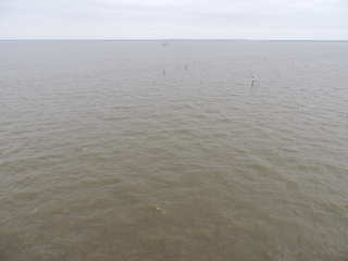 Filename=DSCN5368.JPG
Filesize=4784KiB
Dimensions=4608x3456
Date added=Sep 15, 2019 DSCN5368.JPG