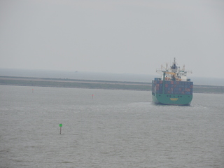 Filename=DSCN5370.JPG
Filesize=5510KiB
Dimensions=4608x3456
Date added=Sep 15, 2019 DSCN5370.JPG