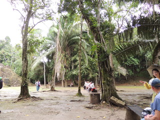 Filename=DSCN5467.JPG
Filesize=5034KiB
Dimensions=4608x3456
Date added=Sep 15, 2019 DSCN5467.JPG