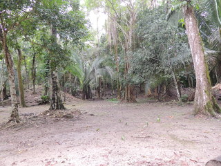 Filename=DSCN5468.JPG
Filesize=4963KiB
Dimensions=4608x3456
Date added=Sep 15, 2019 DSCN5468.JPG