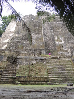 Filename=DSCN5471.JPG
Filesize=5272KiB
Dimensions=3456x4608
Date added=Sep 15, 2019 DSCN5471.JPG