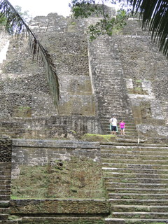 Filename=DSCN5472.JPG
Filesize=5341KiB
Dimensions=3456x4608
Date added=Sep 15, 2019 DSCN5472.JPG