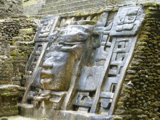 Filename=P1060533.JPG
Filesize=5890KiB
Dimensions=4320x3240
Date added=Sep 15, 2019 P1060533.JPG