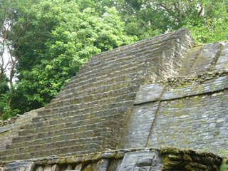 Filename=P1060537.JPG
Filesize=5592KiB
Dimensions=4320x3240
Date added=Sep 15, 2019 P1060537.JPG