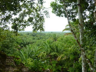 Filename=P1060548.JPG
Filesize=6056KiB
Dimensions=4320x3240
Date added=Sep 15, 2019 P1060548.JPG