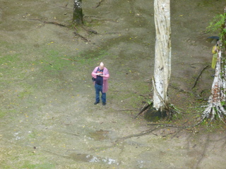 Filename=P1060552.JPG
Filesize=5426KiB
Dimensions=4320x3240
Date added=Sep 15, 2019 P1060552.JPG