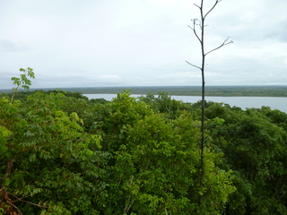 Filename=P1060556.JPG
Filesize=5786KiB
Dimensions=4320x3240
Date added=Sep 15, 2019 P1060556.JPG