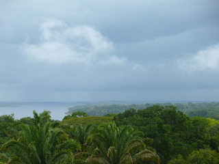 Filename=P1060557.JPG
Filesize=4905KiB
Dimensions=4320x3240
Date added=Sep 15, 2019 P1060557.JPG