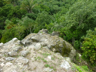 Filename=P1060558.JPG
Filesize=5861KiB
Dimensions=4320x3240
Date added=Sep 15, 2019 P1060558.JPG