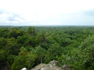 Filename=P1060559.JPG
Filesize=5805KiB
Dimensions=4320x3240
Date added=Sep 15, 2019 P1060559.JPG