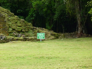 Filename=P1060568.JPG
Filesize=5403KiB
Dimensions=4320x3240
Date added=Sep 15, 2019 P1060568.JPG