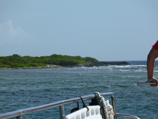 Filename=P1060575.JPG
Filesize=5192KiB
Dimensions=4320x3240
Date added=Sep 15, 2019 P1060575.JPG